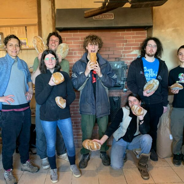 Jour 7 – Découverte du métier de paysan boulanger