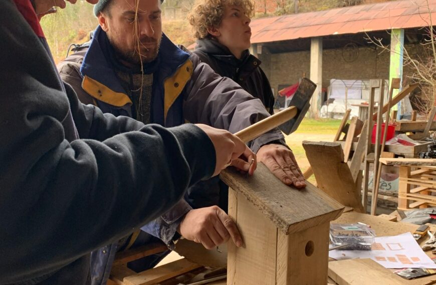 Jours 5 – Fin de la première semaine de formation