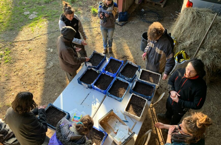 Jour 9 – Initiation au maraîchage biologique