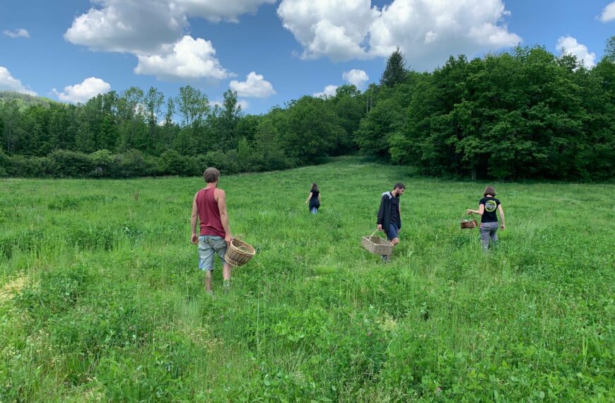 Première semaine de notre deuxième formation découverte !