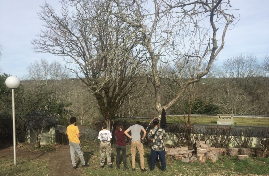 Début du Printemps à Mergieux !