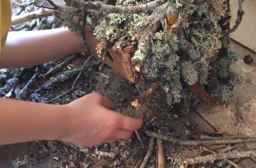 Rentrée en Formation !