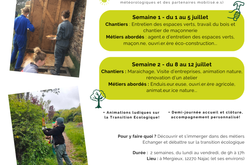 Formation Remobilisation Juillet 2024