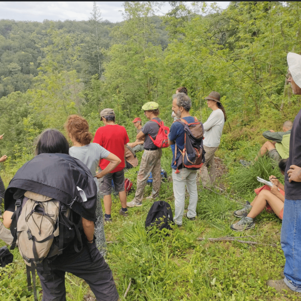 Journée tout public « La Forêt autrement #2 » mardi 29 avril 2025 : les inscriptions sont ouvertes ! 🗓 🗺