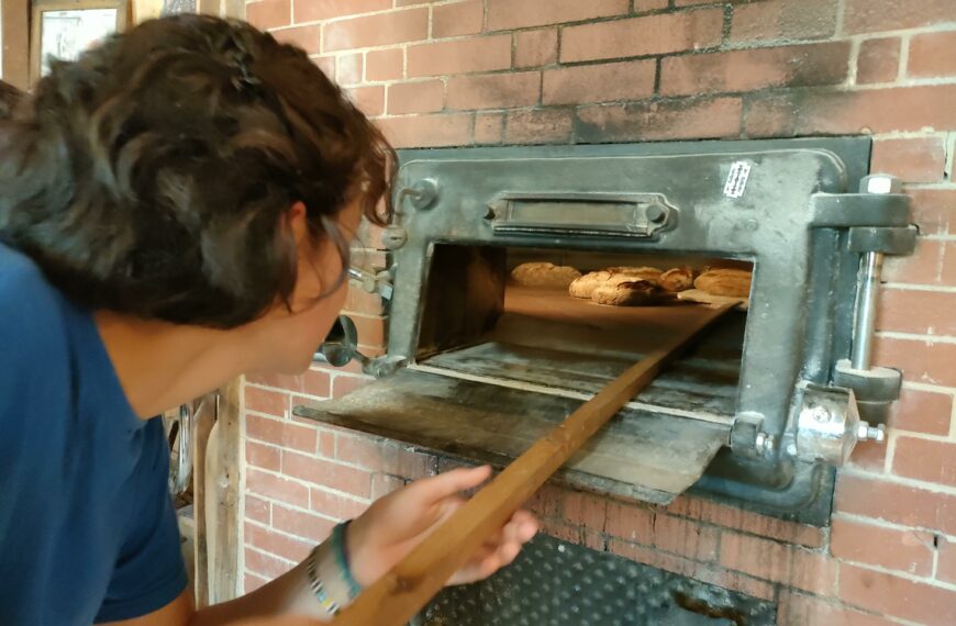 Découverte Remobilisation Multi-métiers du 17 au 28 mars 2025 (2 semaines / 70h) 🗓 🗺