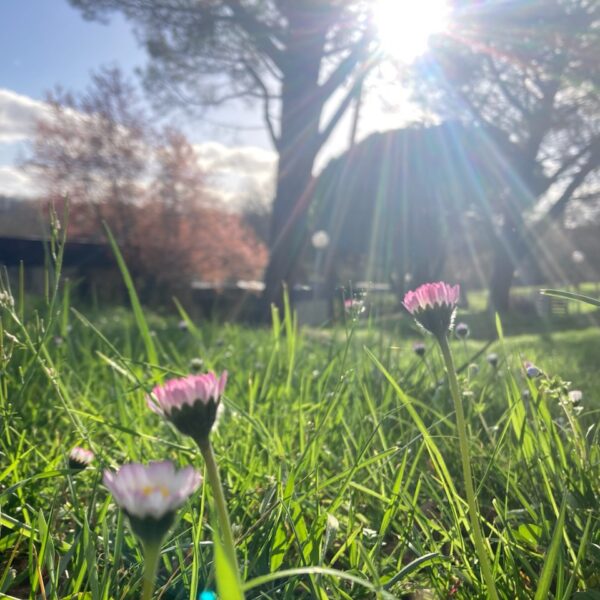 Crémaillère d&rsquo;E&rsquo;SéME à Mergieux – samedi 25 avril 🗓 🗺