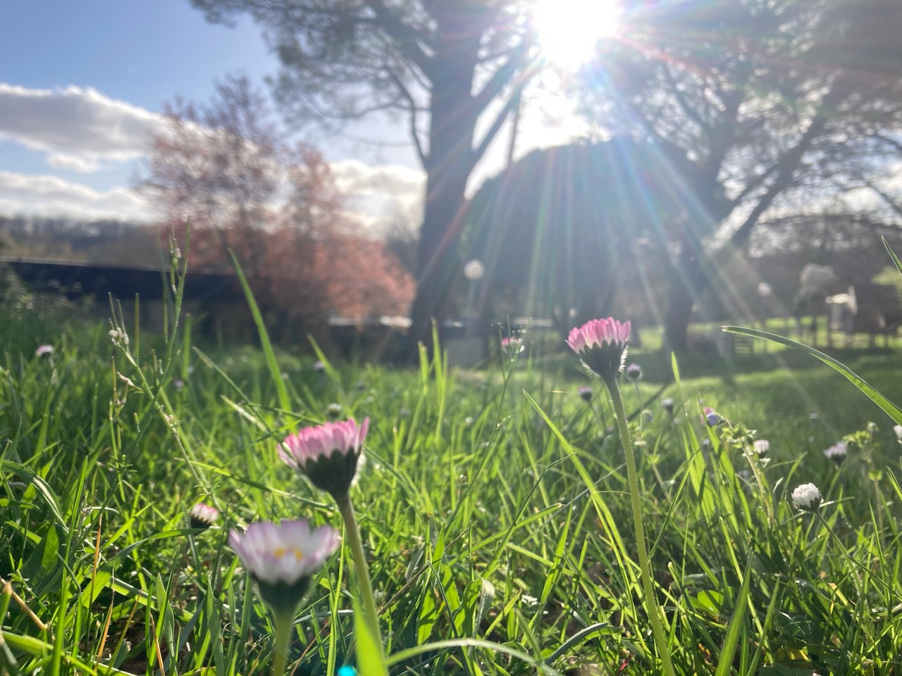 Crémaillère d&rsquo;E&rsquo;SéME à Mergieux – samedi 25 avril 🗓 🗺